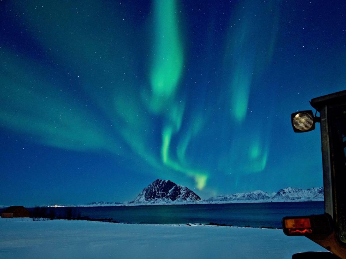 Steinbakk - Vestresand Lofoten Bostad Екстер'єр фото