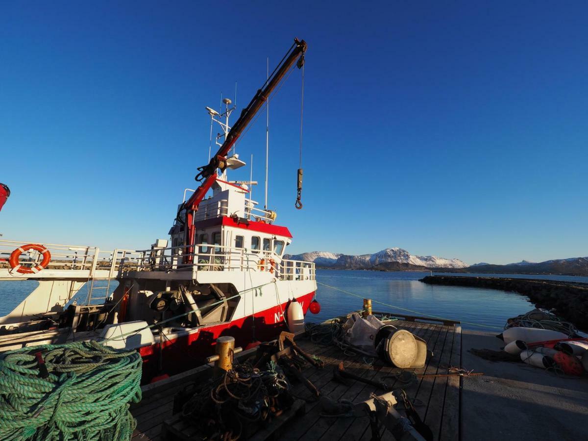 Steinbakk - Vestresand Lofoten Bostad Екстер'єр фото